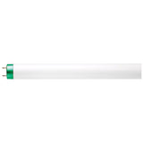 Linear Fluorescent Bulbs